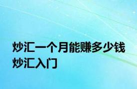 炒汇一个月能赚多少钱 炒汇入门 