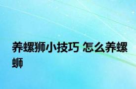 养螺狮小技巧 怎么养螺蛳