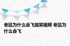 老鼠为什么会飞搞笑视频 老鼠为什么会飞