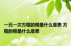 一元一次方程的根是什么意思 方程的根是什么意思