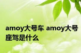 amoy大号车 amoy大号座驾是什么