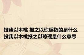 投我以木桃 报之以琼瑶指的是什么 投我以木桃报之以琼瑶是什么意思