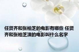 任贤齐和张柏芝的电影有哪些 任贤齐和张柏芝演的电影叫什么名字