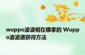 wuppo波波帽在哪拿的 Wuppo波波通获得方法