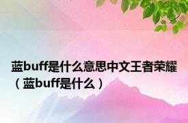 蓝buff是什么意思中文王者荣耀（蓝buff是什么）