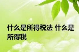 什么是所得税法 什么是所得税