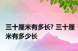 三十厘米有多长? 三十厘米有多少长