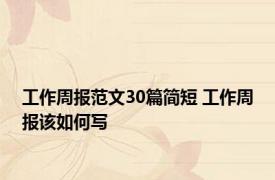 工作周报范文30篇简短 工作周报该如何写