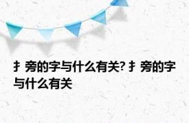 扌旁的字与什么有关? 扌旁的字与什么有关