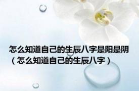 怎么知道自己的生辰八字是阳是阴（怎么知道自己的生辰八字）