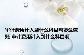 审计费用计入到什么科目啊怎么做账 审计费用计入到什么科目啊