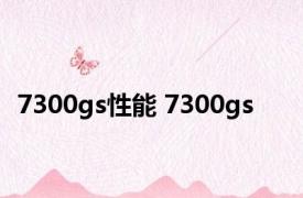 7300gs性能 7300gs 