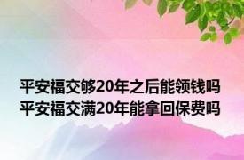 平安福交够20年之后能领钱吗 平安福交满20年能拿回保费吗