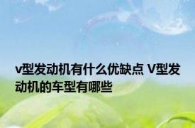 v型发动机有什么优缺点 V型发动机的车型有哪些