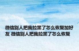 微信别人把我拉黑了怎么恢复加好友 微信别人把我拉黑了怎么恢复