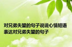 对兄弟失望的句子说说心情短语 表达对兄弟失望的句子