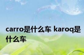 carro是什么车 karoq是什么车