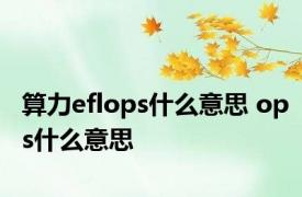 算力eflops什么意思 ops什么意思