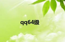 qq64级