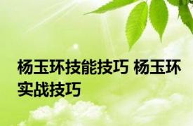 杨玉环技能技巧 杨玉环实战技巧