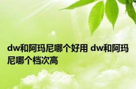 dw和阿玛尼哪个好用 dw和阿玛尼哪个档次高