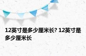 12英寸是多少厘米长? 12英寸是多少厘米长