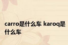 carro是什么车 karoq是什么车