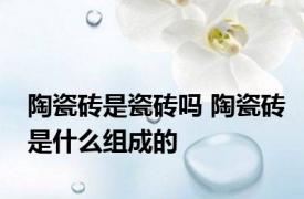 陶瓷砖是瓷砖吗 陶瓷砖是什么组成的