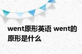 went原形英语 went的原形是什么