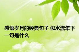 感悟岁月的经典句子 似水流年下一句是什么