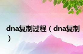 dna复制过程（dna复制）