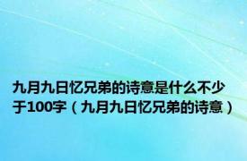 九月九日忆兄弟的诗意是什么不少于100字（九月九日忆兄弟的诗意）