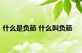 什么是负筋 什么叫负筋