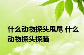 什么动物探头甩尾 什么动物探头探脑