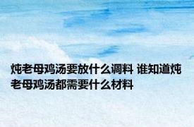 炖老母鸡汤要放什么调料 谁知道炖老母鸡汤都需要什么材料