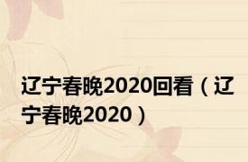 辽宁春晚2020回看（辽宁春晚2020）