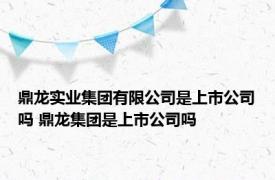 鼎龙实业集团有限公司是上市公司吗 鼎龙集团是上市公司吗