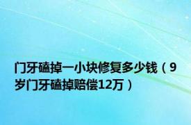 门牙磕掉一小块修复多少钱（9岁门牙磕掉赔偿12万）