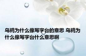 乌鸦为什么像写字台的意思 乌鸦为什么像写字台什么意思啊