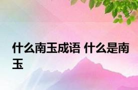 什么南玉成语 什么是南玉