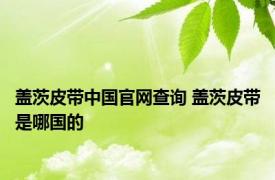 盖茨皮带中国官网查询 盖茨皮带是哪国的