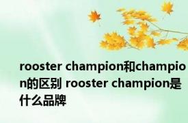 rooster champion和champion的区别 rooster champion是什么品牌