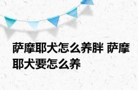 萨摩耶犬怎么养胖 萨摩耶犬要怎么养