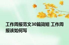 工作周报范文30篇简短 工作周报该如何写