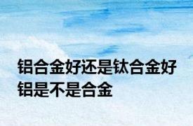 铝合金好还是钛合金好 铝是不是合金