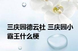 三庆园德云社 三庆园小霸王什么梗