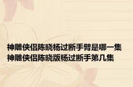 神雕侠侣陈晓杨过断手臂是哪一集 神雕侠侣陈晓版杨过断手第几集