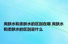 爽肤水和柔肤水的区别在哪 爽肤水和柔肤水的区别是什么