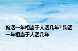 狗活一年相当于人活几年? 狗活一年相当于人活几年