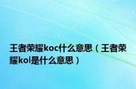 王者荣耀koc什么意思（王者荣耀kol是什么意思）